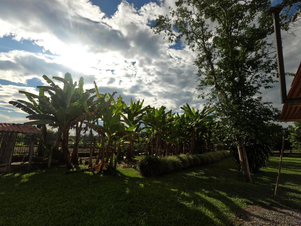 Finca Hotel Estrella Del Eden El Socorro Luaran gambar